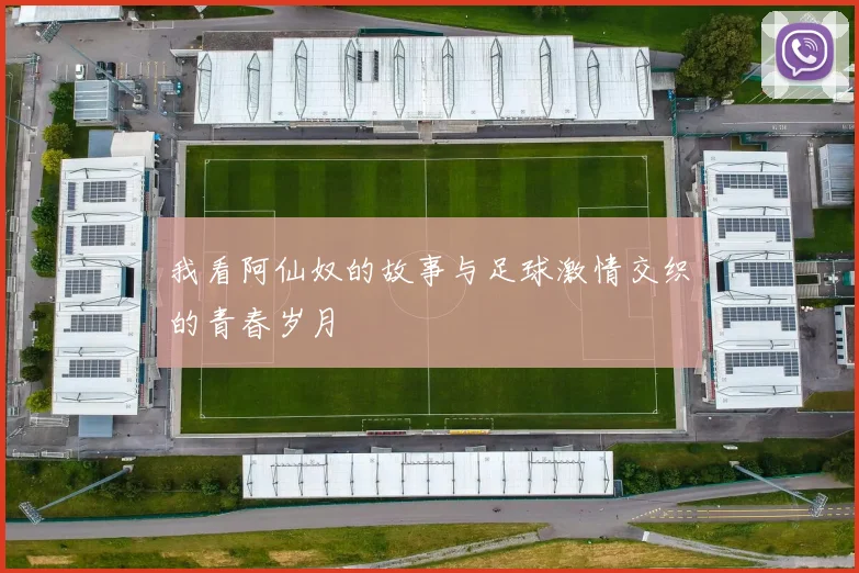 我看阿仙奴的故事与足球激情交织的青春岁月
